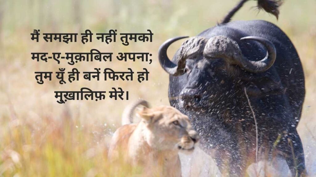 Badmash Shayari​