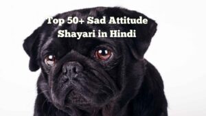 Sad Attitude Shayari​