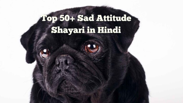 Sad Attitude Shayari​