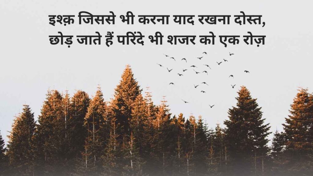 Love Attitude Shayari